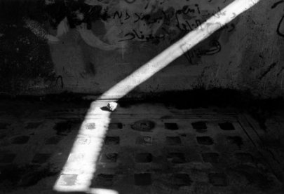 في البدء كان الحجر. في البدء كان الحجر.