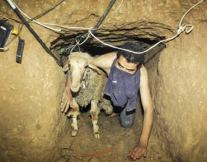 عامل أنفاق في صورة مع السيادة المصرية.